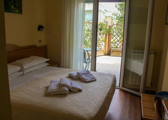 Pet Hotel Virginia - Hotel per cani Rimini